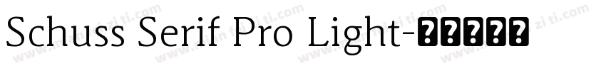 Schuss Serif Pro Light字体转换